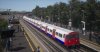 TSW2_Josh_1618409001_00.jpg