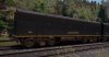 TSW2_David_1618596881_00.jpg