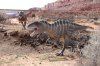 Moab Giants 376.JPG