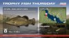 Part_2_Trophy Fish Thursday_1920x1080.jpg
