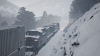 TSW_Adam_1585404914_00.png
