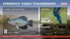 Lilypad White Crappie.jpg