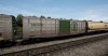 TSW2_David_1621453163_00.jpg