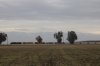 IMG_0404.JPG