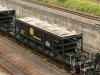 Hoki-10032.jpg
