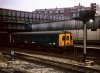 LLP Class 128 3W.jpg