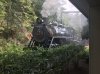 Dollywood 1.jpg