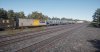 TSW2_David_1624372103_00.jpg