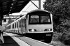 36DB4B4A-77DF-420A-B971-D2964162BF9C.jpeg