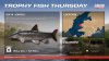 Trophy_Fish_Thursday_1920x1080.jpg