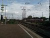 IMG_20191015_101533.jpg