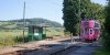 C9DB116E-EDAC-4CFF-B4A5-168EA7D27DB5.jpeg
