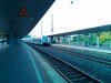 IMG_20191015_101617.jpg