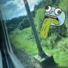73AB1BF0-1A2D-4C20-AB83-A21E301CAECA.jpeg