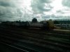 IMG_20210710_175013.jpg