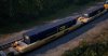 TSW2_David_1626283766_00.jpg