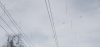 Screenshot_20210723-093645_Gallery.png