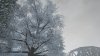 564851b4-601d-46b7-ae60-cf0be9c42303.jpeg