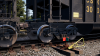 TSW_Adam_1586610008_00.png