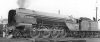 LNER P2.jpg