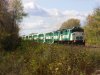 GO_558_Pulling_East_from_Guildwood.jpg