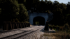 TSW_Adam_1585399920_00.png
