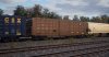 TSW2_David_1629219632_00.jpg
