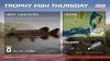 Trophy_Fish_Thursday_1920x1080.jpg