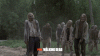 giphy (1).gif