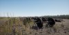 TSW2_Matt_1629922742_00.jpg