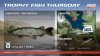 Trophy_Fish_Thursday_1920x1080.jpg