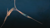 upload_2021-8-31_22-39-22.png