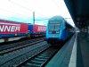 IMG_20190521_131837.jpg