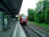 IMG_20190521_124945.jpg