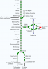 18373CCB-5D7A-4D8B-B718-A12A65FC90C4.png