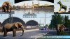 Elephants in Dresden.jpg