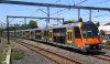 Waratah B Set.jpg