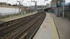 images (9).jpeg