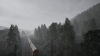 TSW_1537986813_00.png