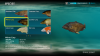 Fishing Sim World (2).png