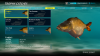 Fishing Sim World (3).png