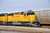upgp40.jpg
