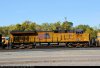 DSC_6797 - Copy.jpg