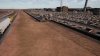 CHAYENNE CAR LOT - 2.JPG