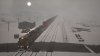 TSW2 - WINTER 2.JPG