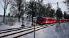 TSW2_Cameron_1642197938_00.png