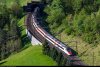 SWISS ETR 600.jpg