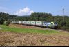 SWISS FREIGHT.jpg