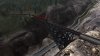 Canadian Pacific ES44AC 10.jpg