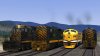 Rio_Grande.jpg